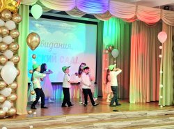 imt (7)
